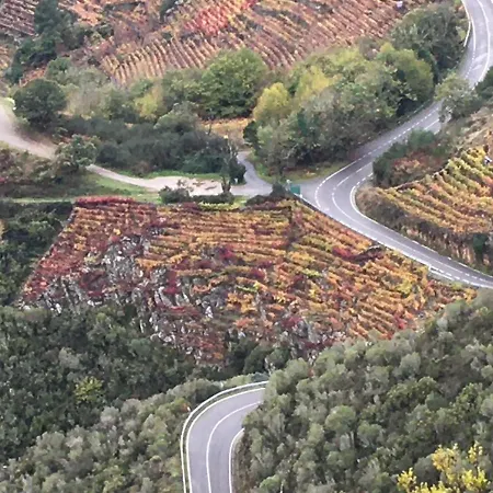 O Fogar Do Monte