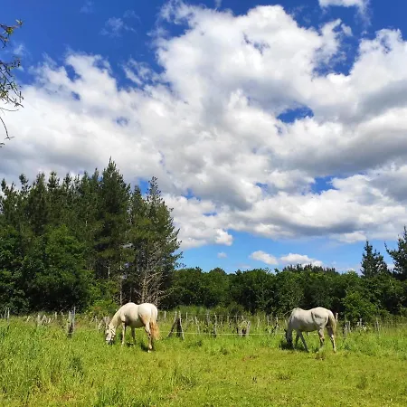 O Fogar Do Monte Gasthuis 3*