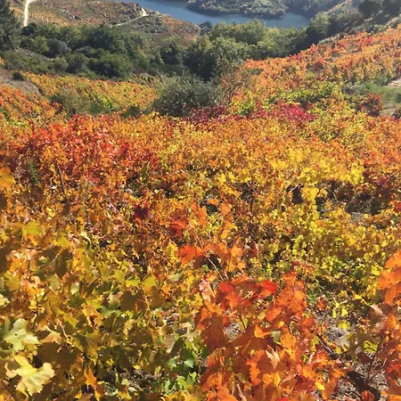 O Fogar Do Monte Konukevi