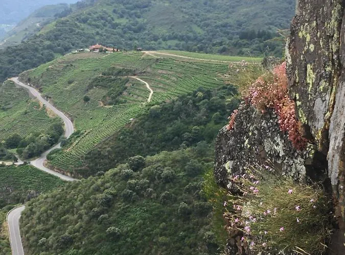 O Fogar Do Monte 3*