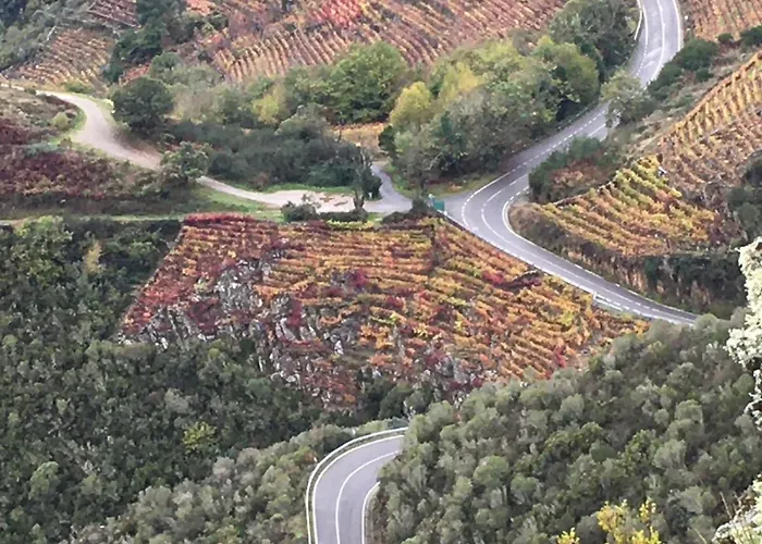 O Fogar Do Monte