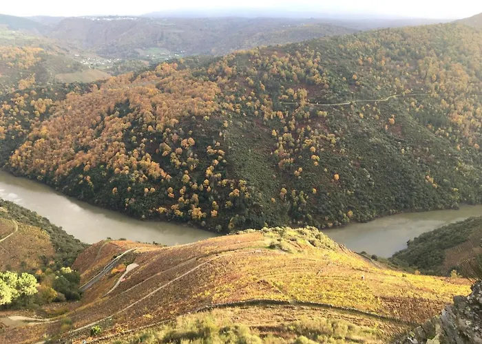 O Fogar Do Monte