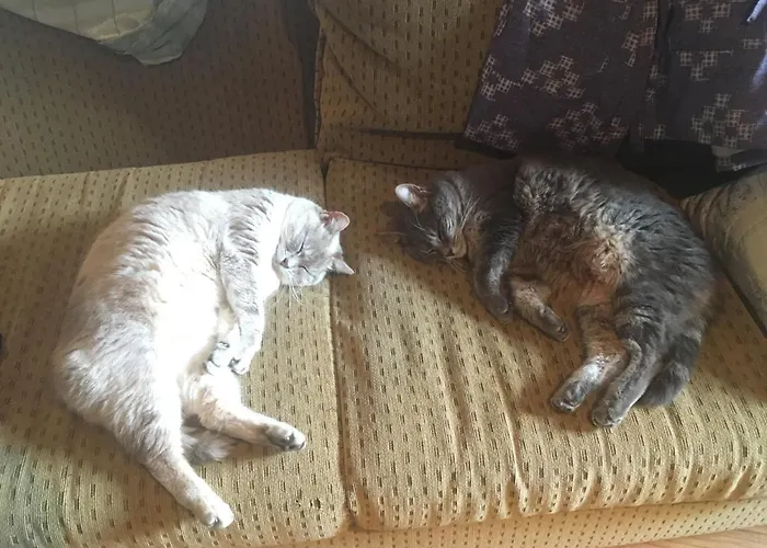 O Fogar Do Monte 3* Sober