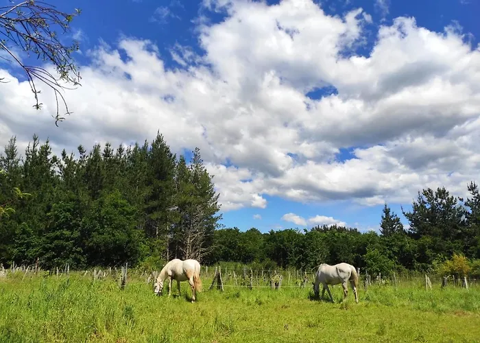 O Fogar Do Monte Penzion 3*