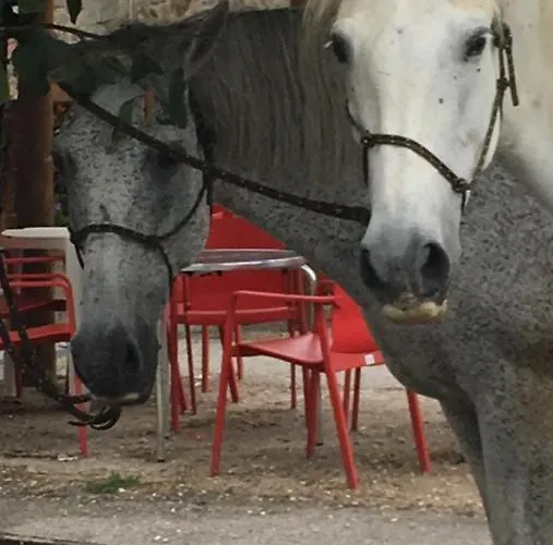O Fogar Do Monte Konukevi Sober