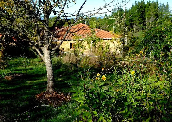 O Fogar Do Monte Konukevi Sober