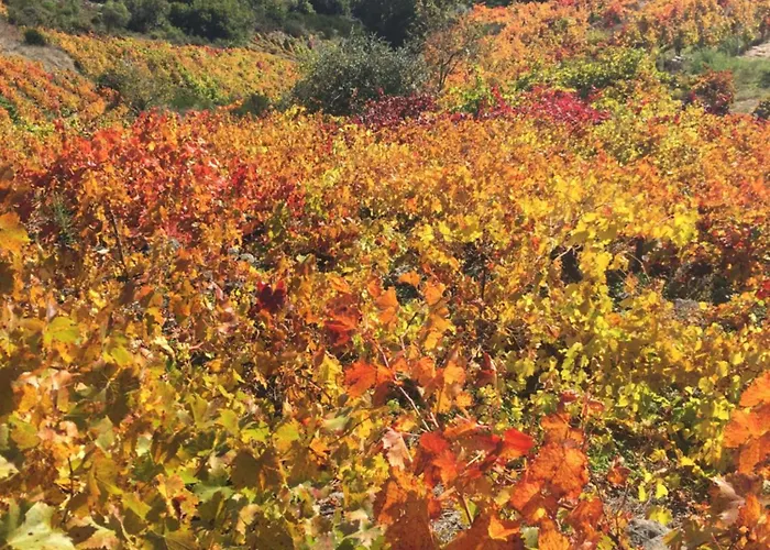 O Fogar Do Monte Penzion